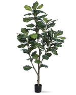 5' Single Trunk Fiddle Leaf Fig Silk Tree TRF313-05