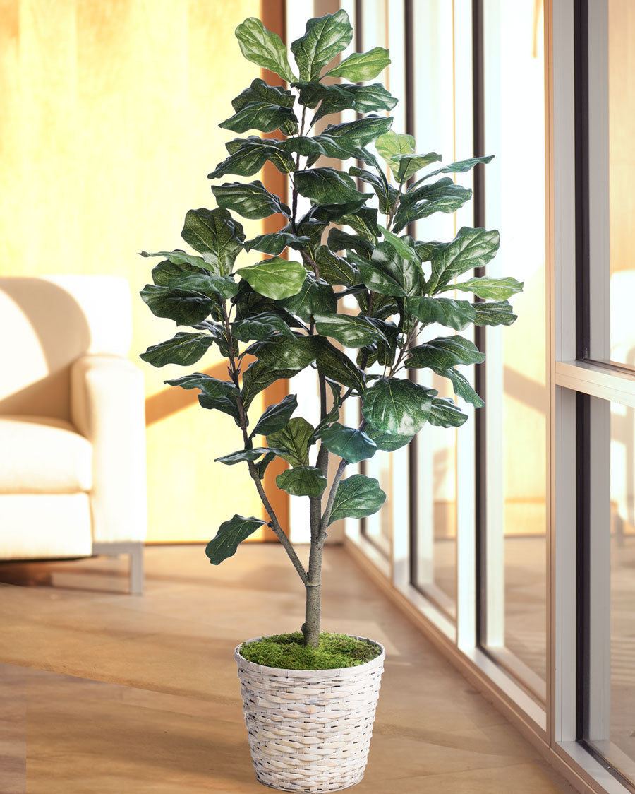 5' Single Trunk Fiddle Leaf Fig Silk Tree TRF313-05