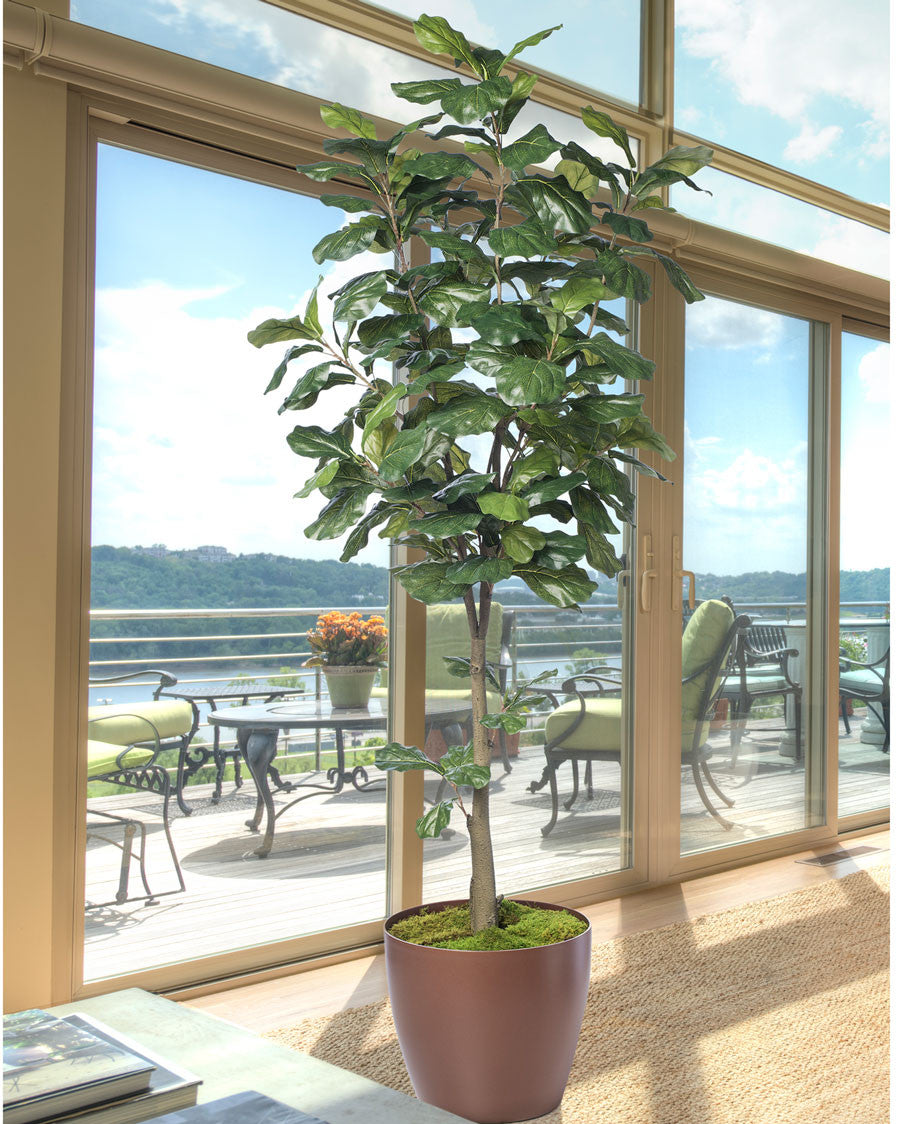 7' Single Trunk Fiddle Leaf Fig Silk Tree TRF313-07