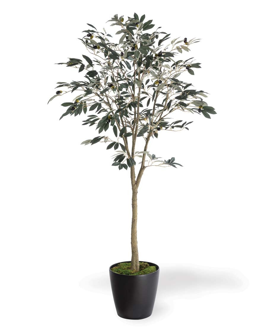5' Silk Mediterranean Olive Tree TRM340-05