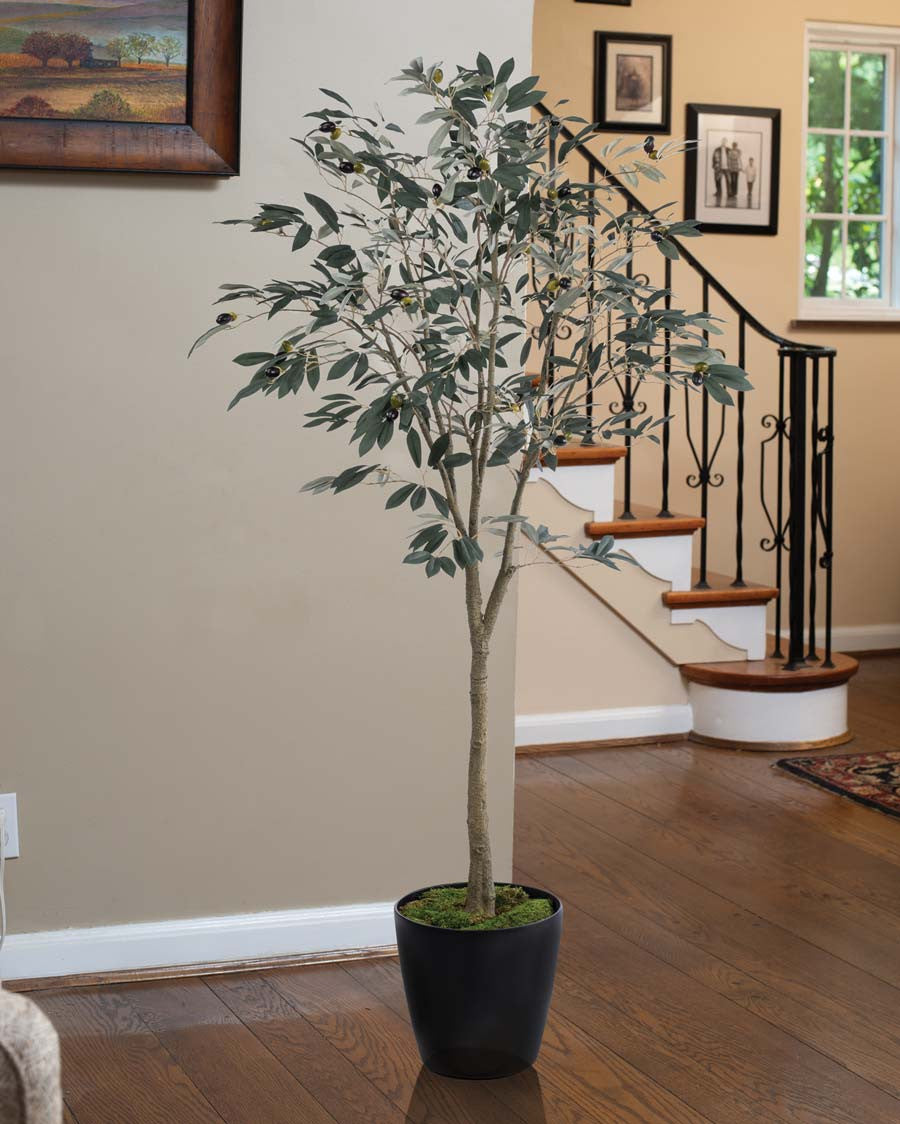 5' Silk Mediterranean Olive Tree TRM340-05