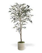 6' Silk Mediterranean Olive Tree TRM340-06