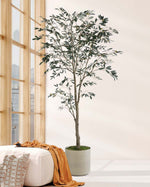 6' Silk Mediterranean Olive Tree TRM340-06