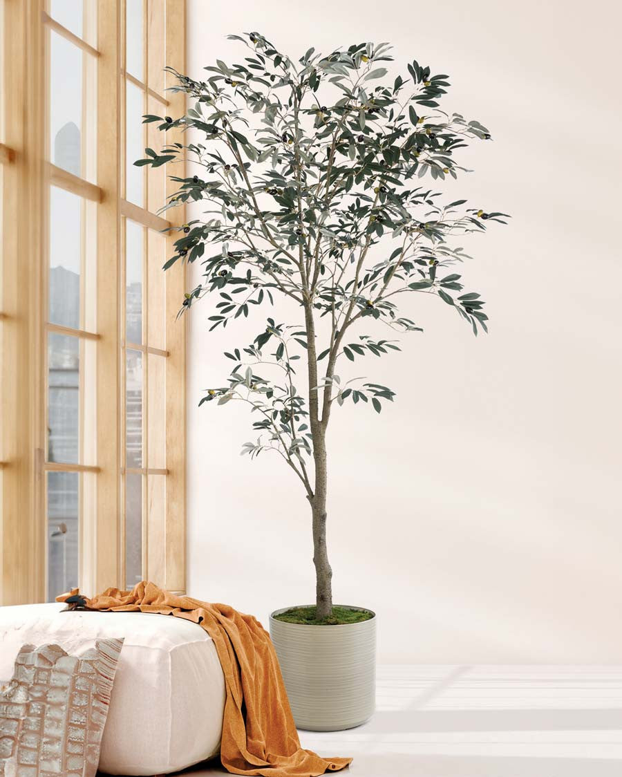 6' Silk Mediterranean Olive Tree TRM340-06