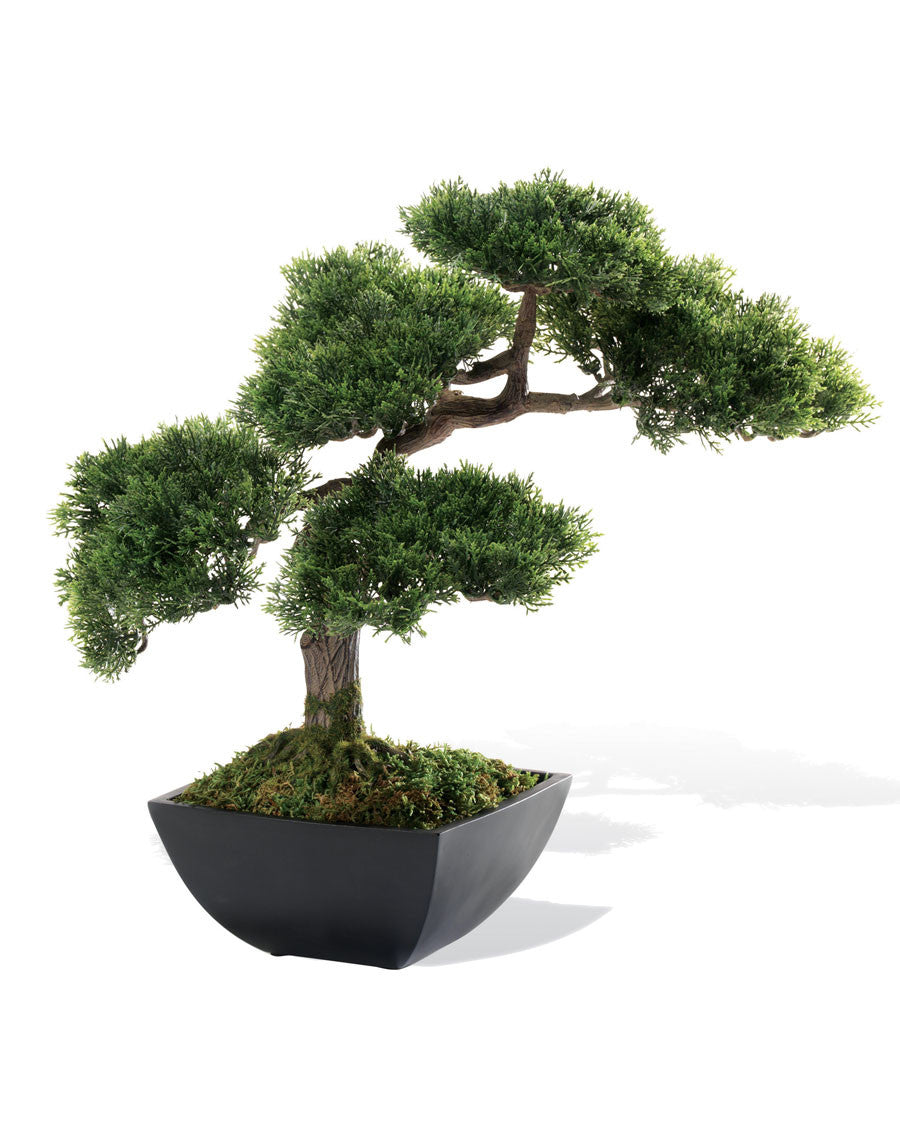 Cypress Bonsai Artificial Tree TTB120-GR