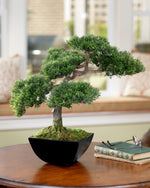 Cypress Bonsai Artificial Tree TTB120-GR