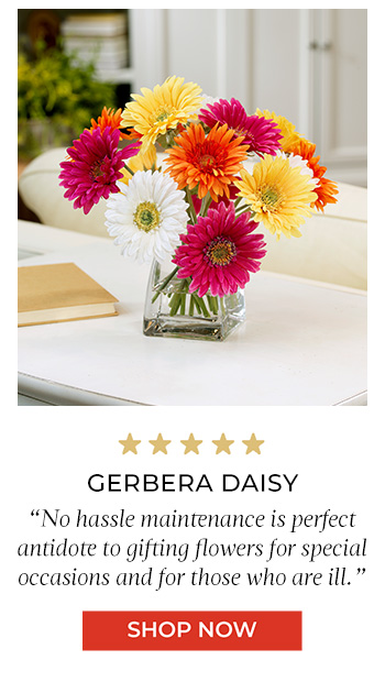 Gerbera Daisy Silk Centerpiece, By Petals.